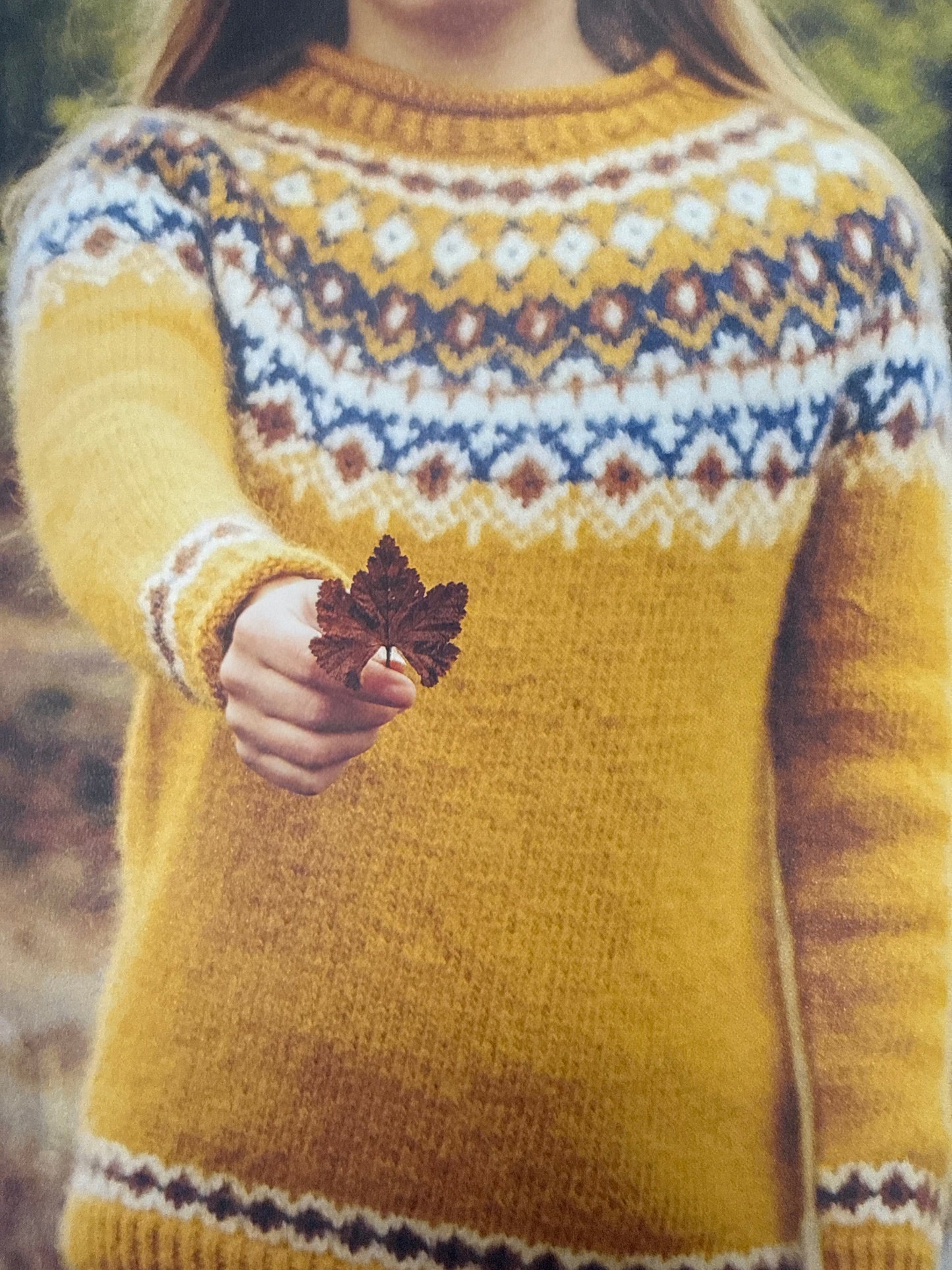 Chronicle Books Icelandic Knits Book