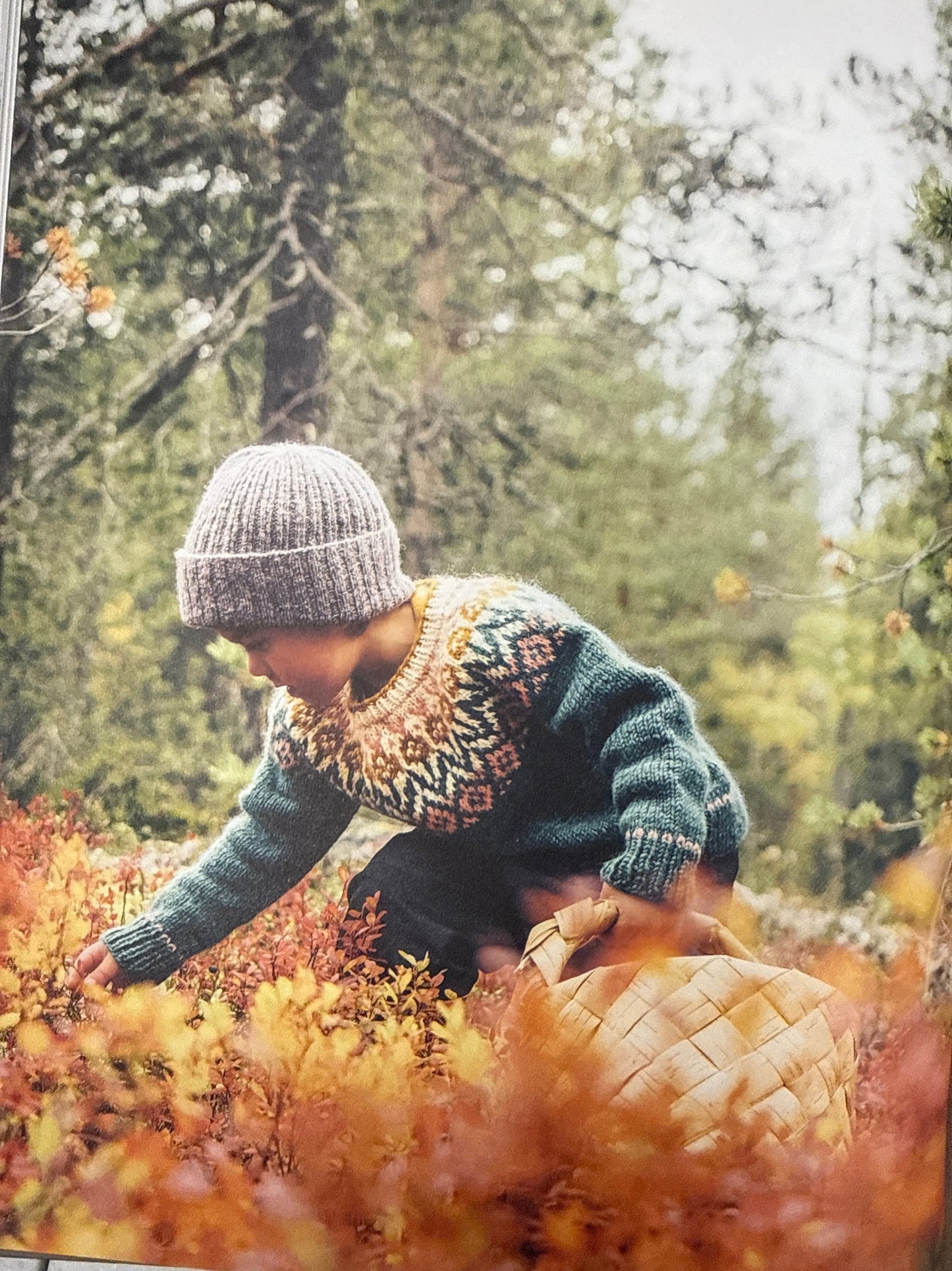 Chronicle Books Icelandic Knits Book
