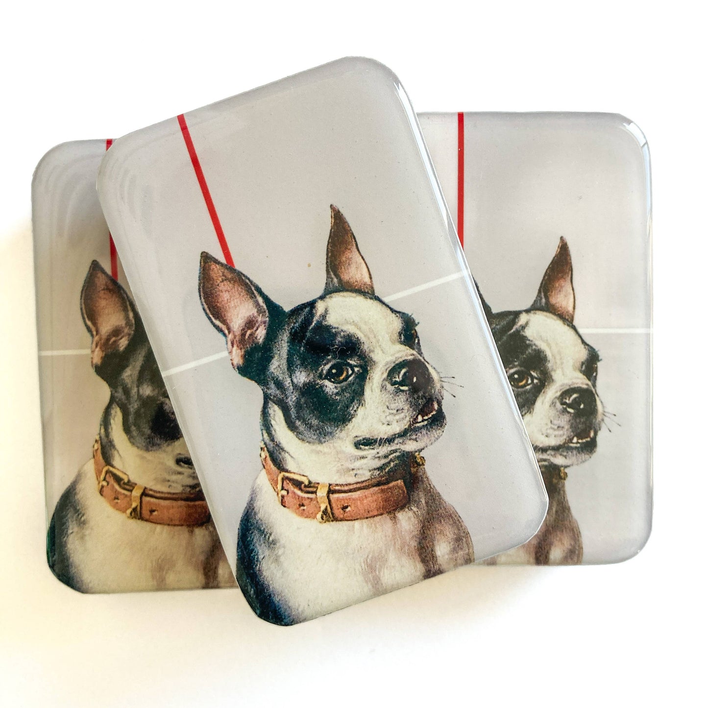 Firefly Notes Boston Terrier notions tin Notion Tins