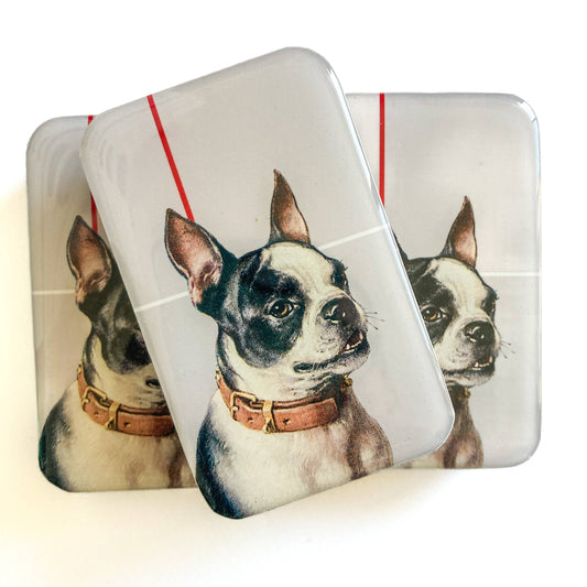 Firefly Notes Boston Terrier notions tin Notion Tins