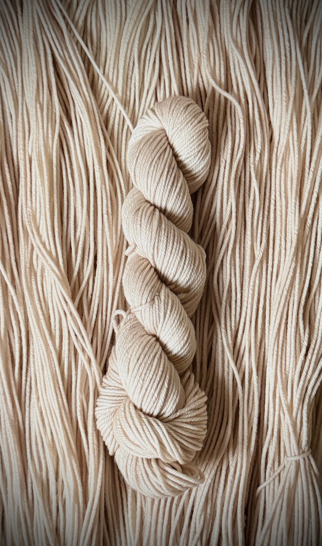 Mountaintop Yarn Bone Yarn