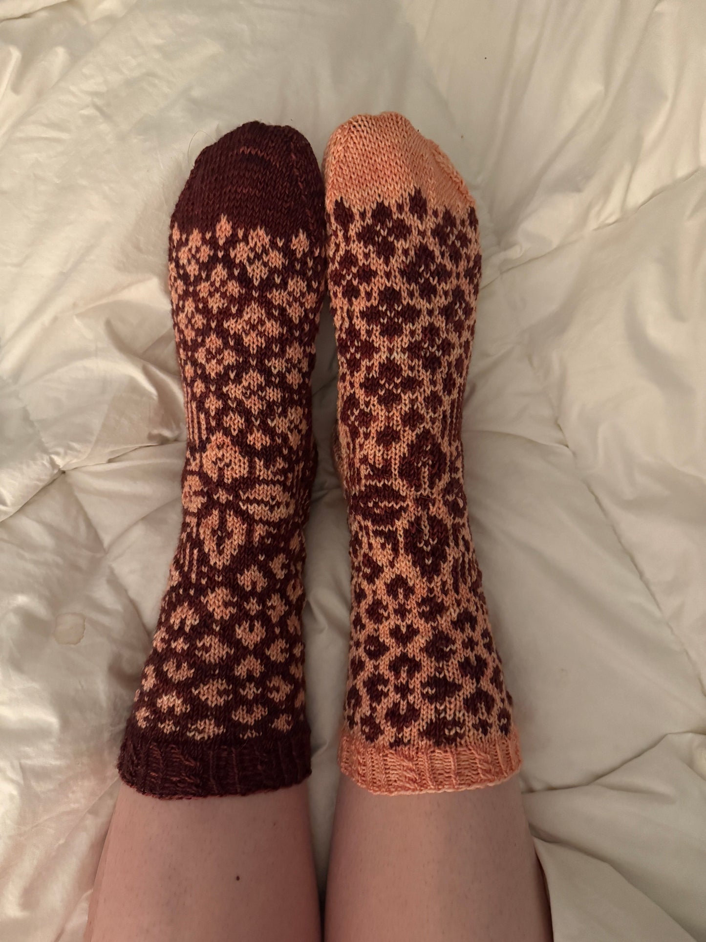 Penguin Random House LLC Knitted Socks Pattern Book Book