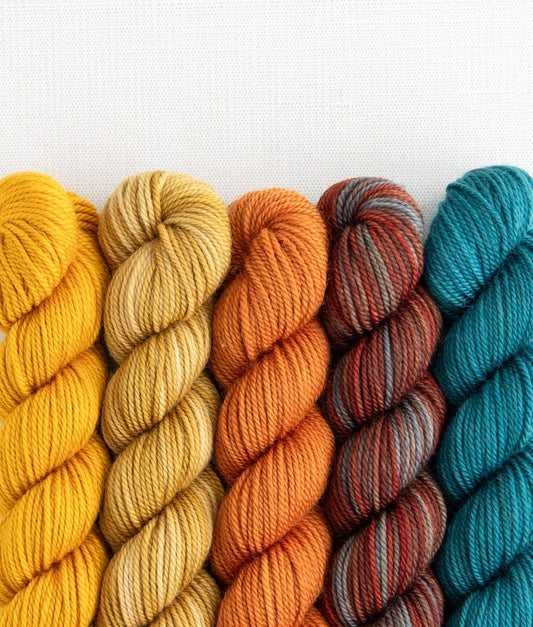 SweetGeorgia Yarns Inc. Farm to Table Party of Five / Tough Love / Mini-Skein Set Yarn