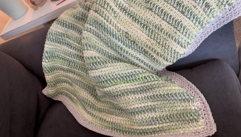 Pet Blanket - Tunisian Crochet Beginner Friendly Pattern
