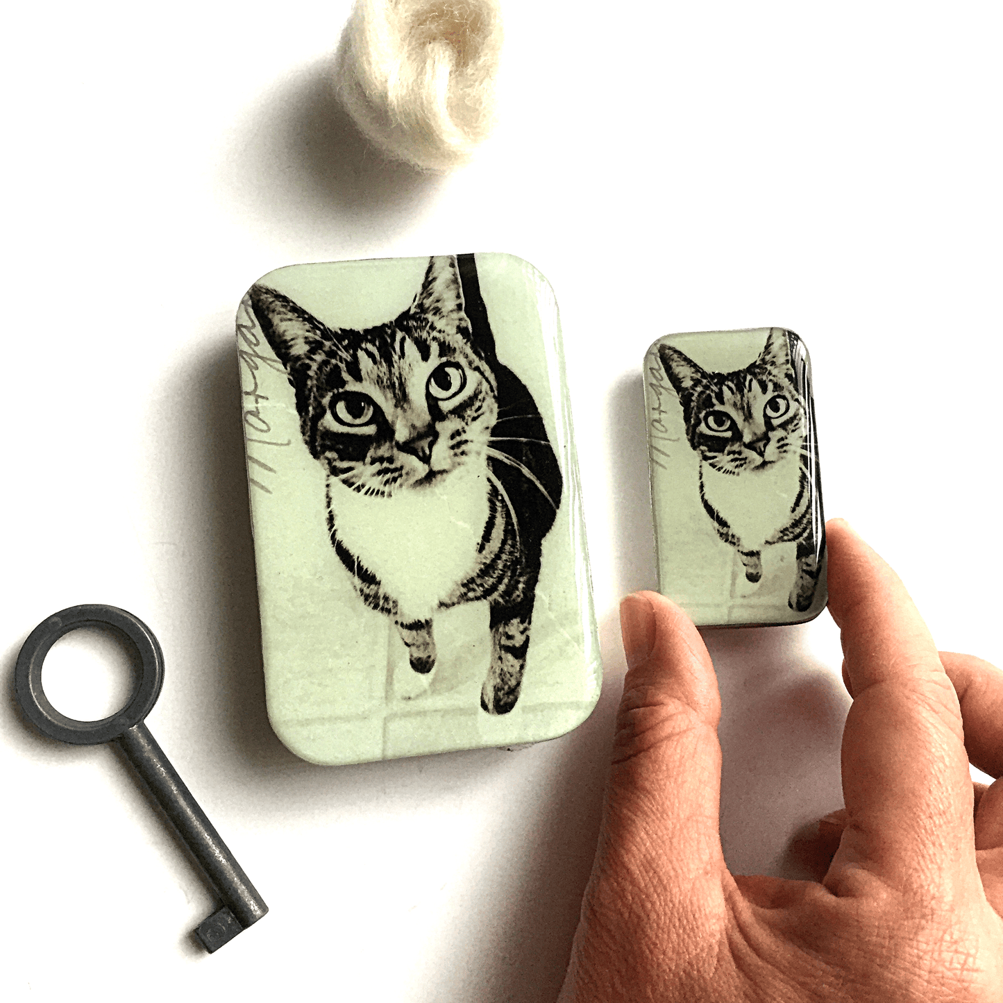 Firefly Notes Cat Notion Tin Notion Tins