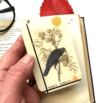 Firefly Notes Crow Tin, Shiny Things Tin Notion Tins