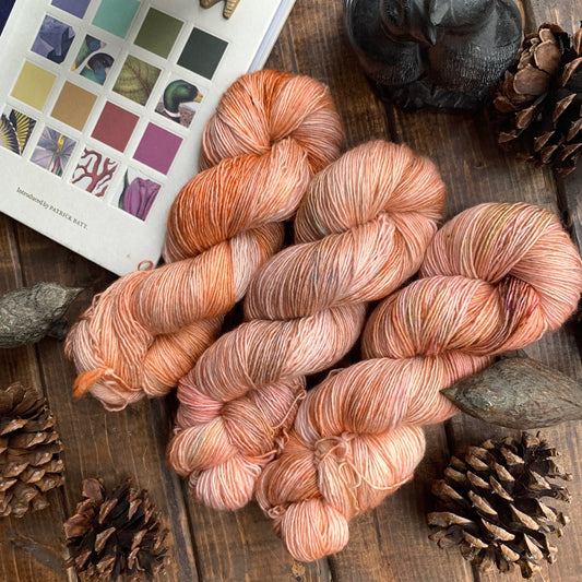 Goosey Fibers Fairywren Yarn