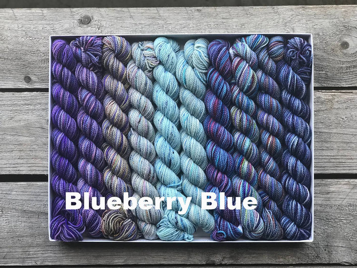 Koigu Wool Designs Blueberry Koigu Pencil Box Yarn