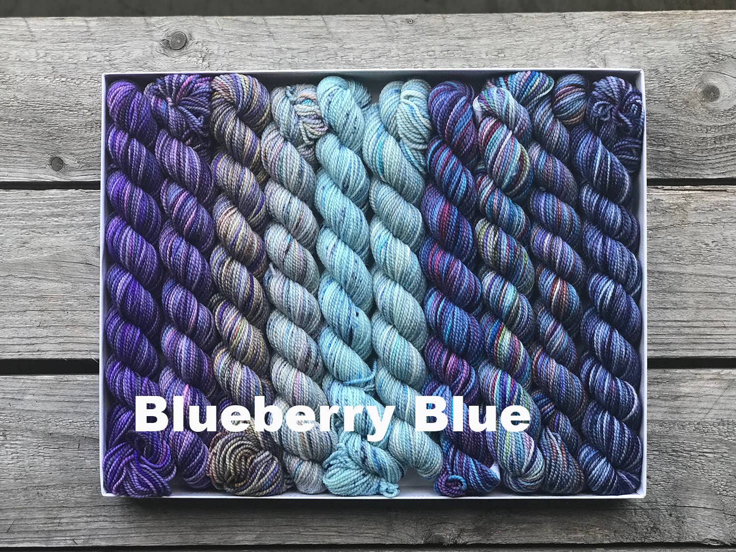 Koigu Wool Designs Blueberry Koigu Pencil Box Yarn