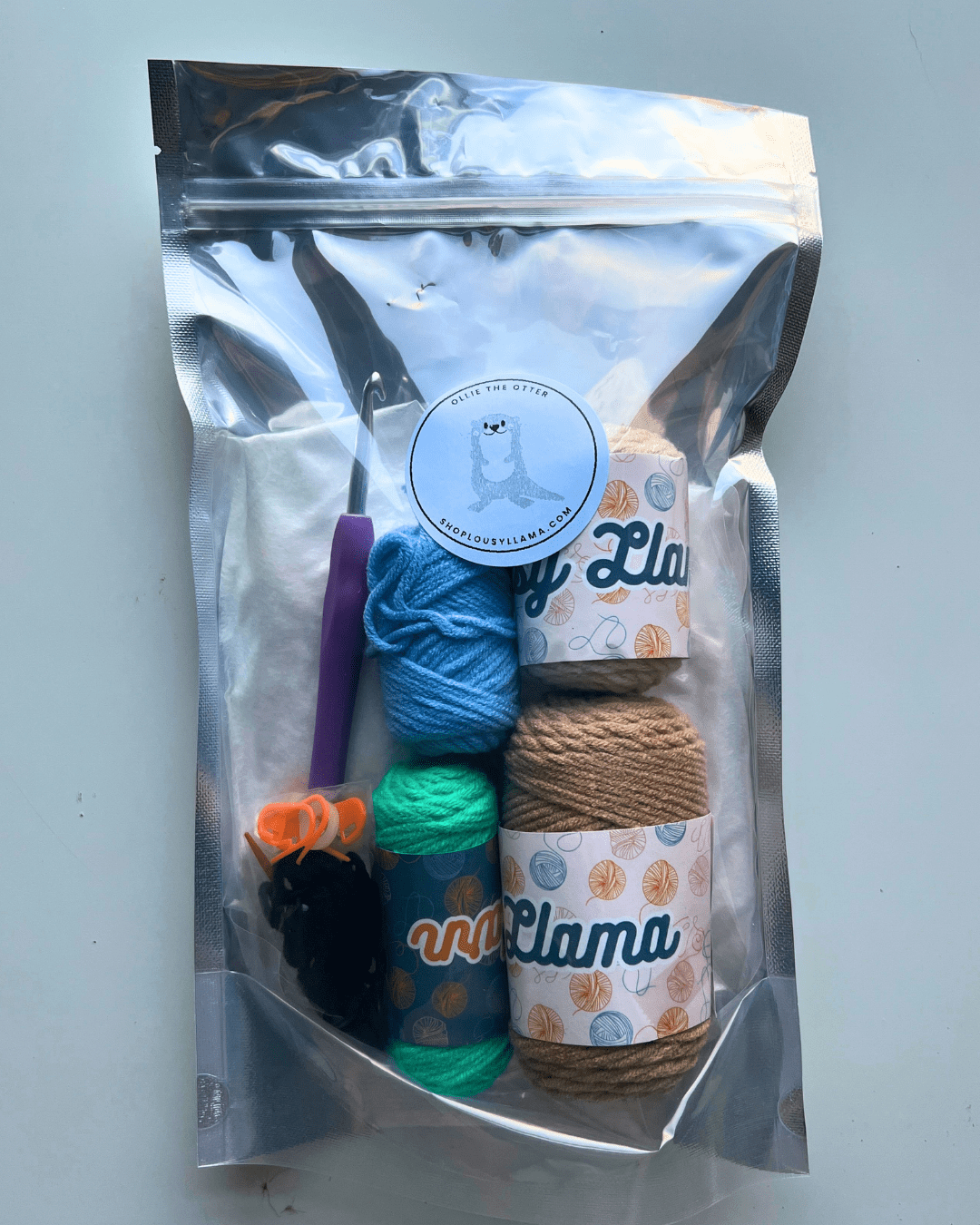 Lousy Llama Creations Learn to Crochet Beginner Dinosaur Crochet Kit Craft Kits