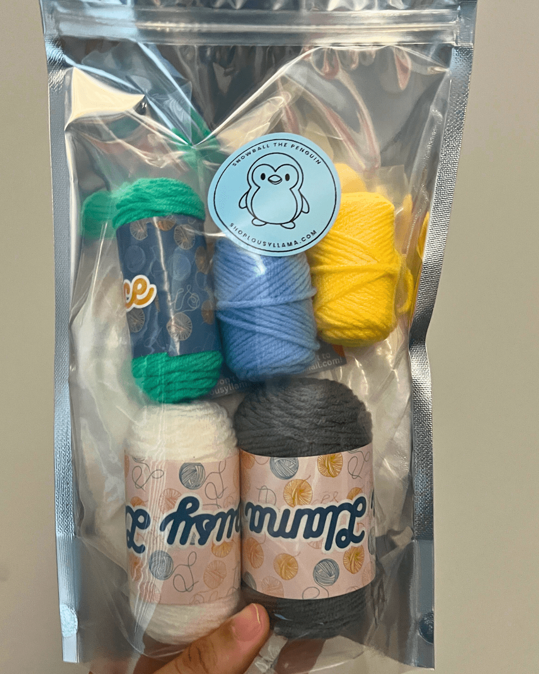 Lousy Llama Creations Learn to Crochet Beginner Penguin Crochet Kit Craft Kits