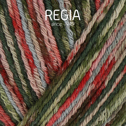 MEZ REGIA Color Cotton Sock Wool Yarn