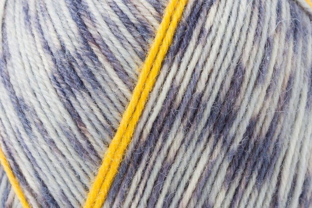 MEZ REGIA Sock Wool 6-ply Colour Pairfect Yarn