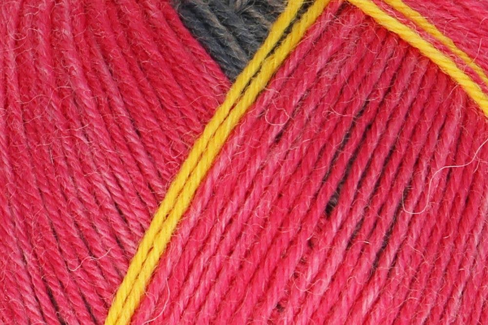 MEZ REGIA Sock Wool 6-ply Colour Pairfect Yarn