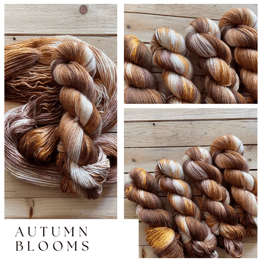 Mountaintop Yarn Autumn Blooms - DK Yarn