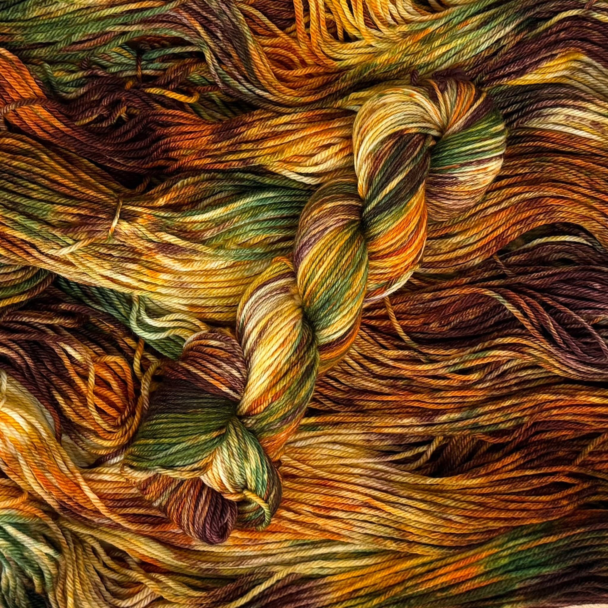 Mountaintop Yarn Autumn’s Rainbow Yarn