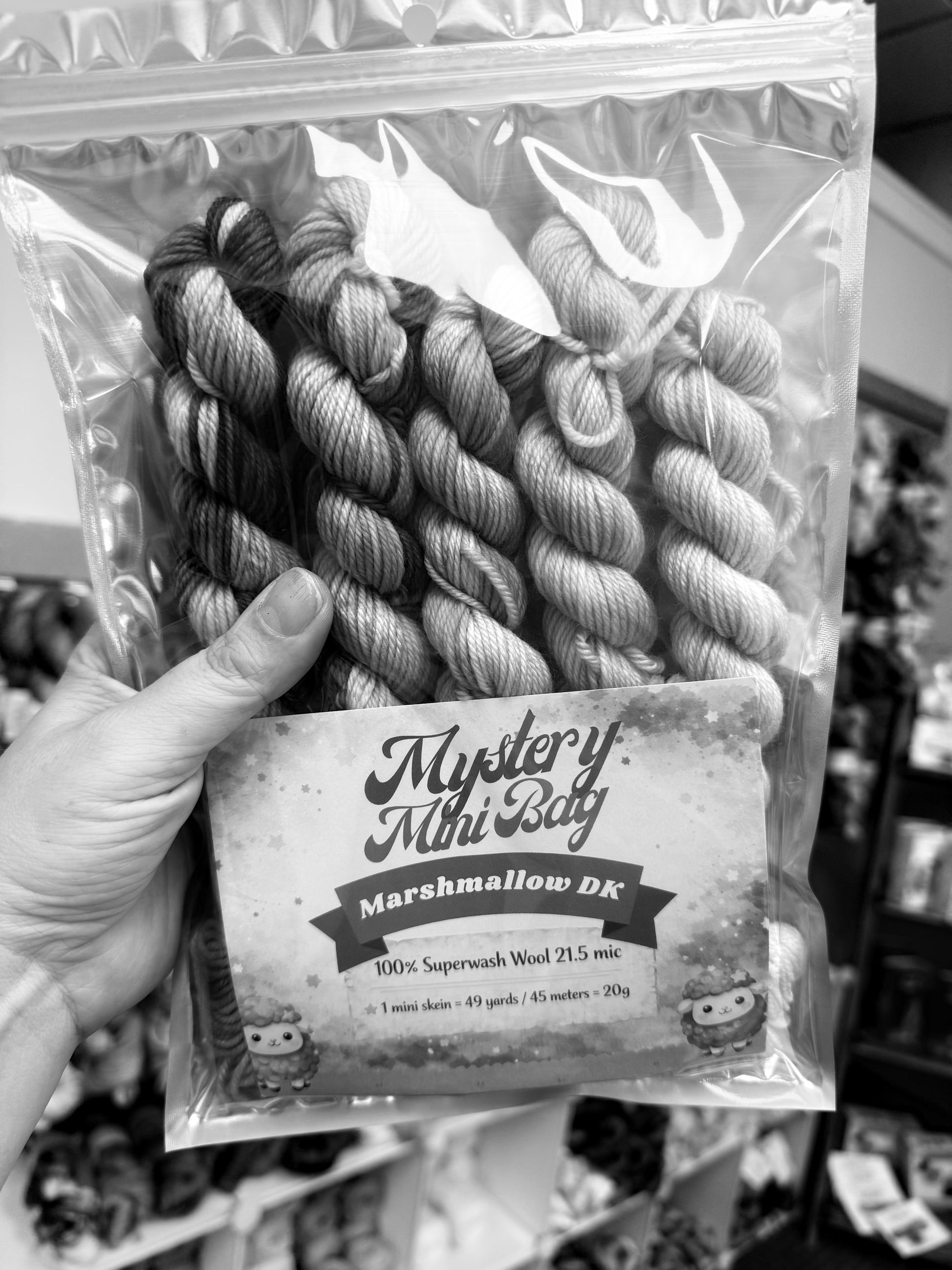 Mountaintop Yarn Bundles Marshmallow DK Mini Skein Mystery Grab Bag Yarn
