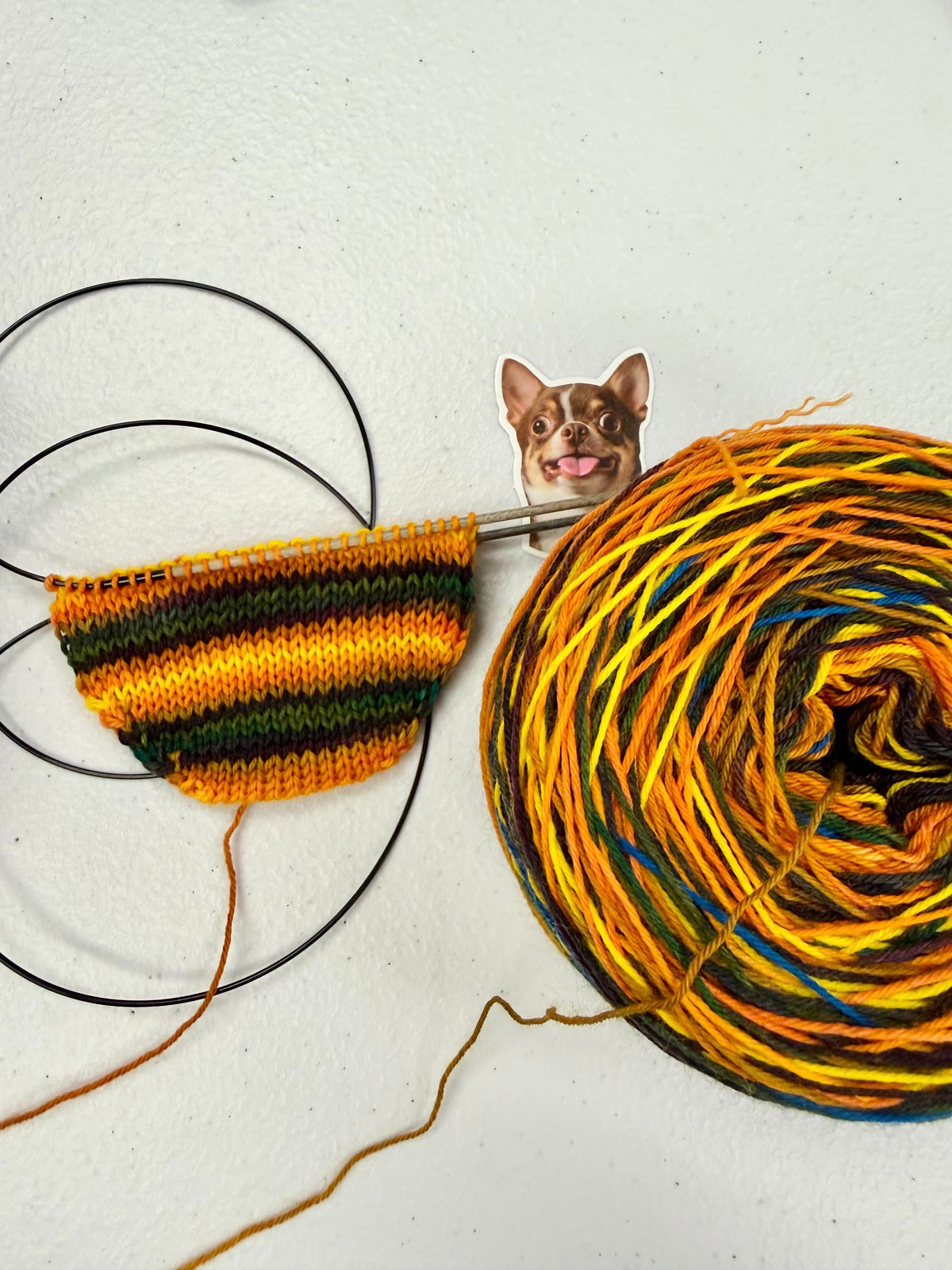 Mountaintop Yarn It's Fall Y'all - Self Striping Sock Yarn Yarn