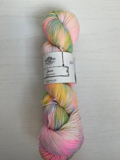 Mountaintop Yarn June Extra Sock Club Yarn