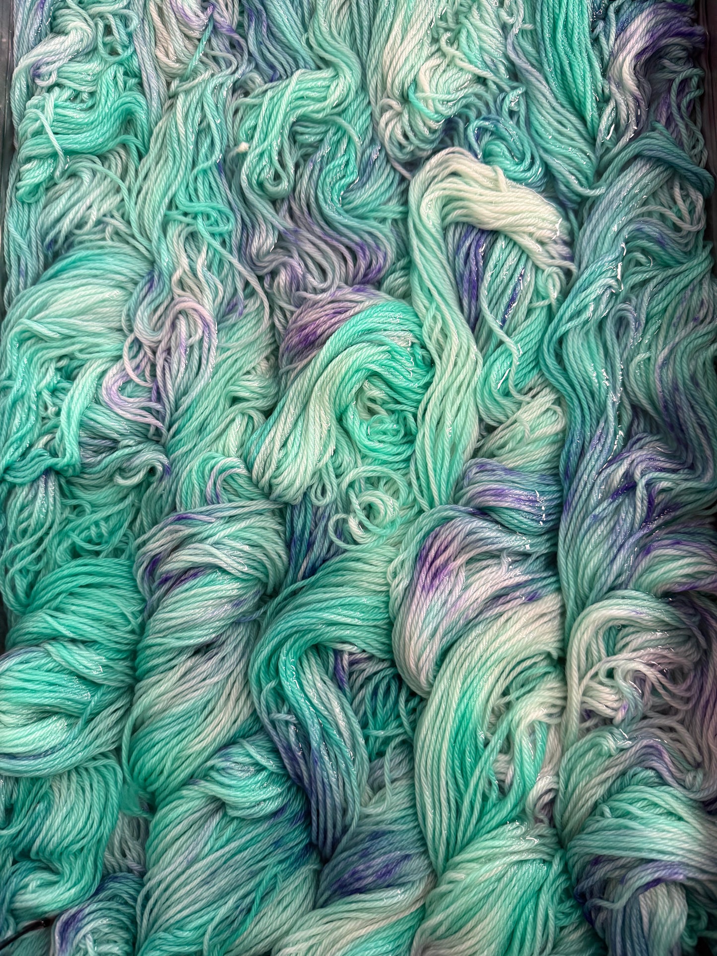 Mountaintop Yarn Kitty!! Yarn