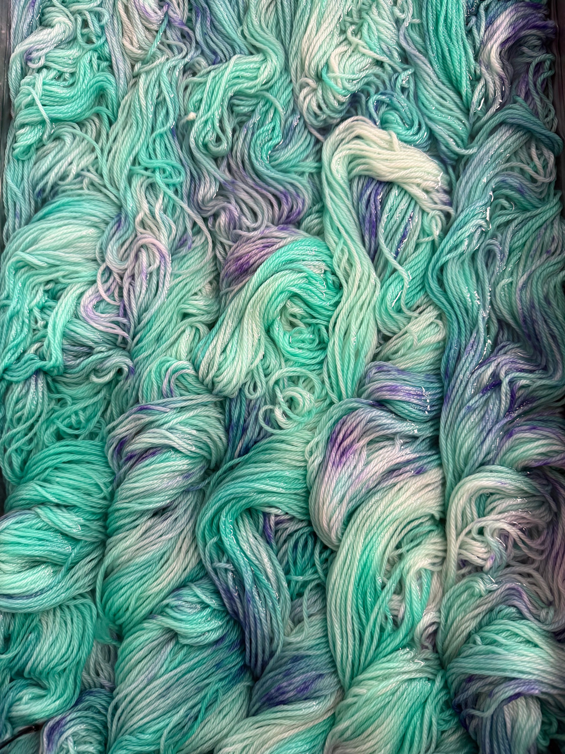 Mountaintop Yarn Kitty!! Yarn