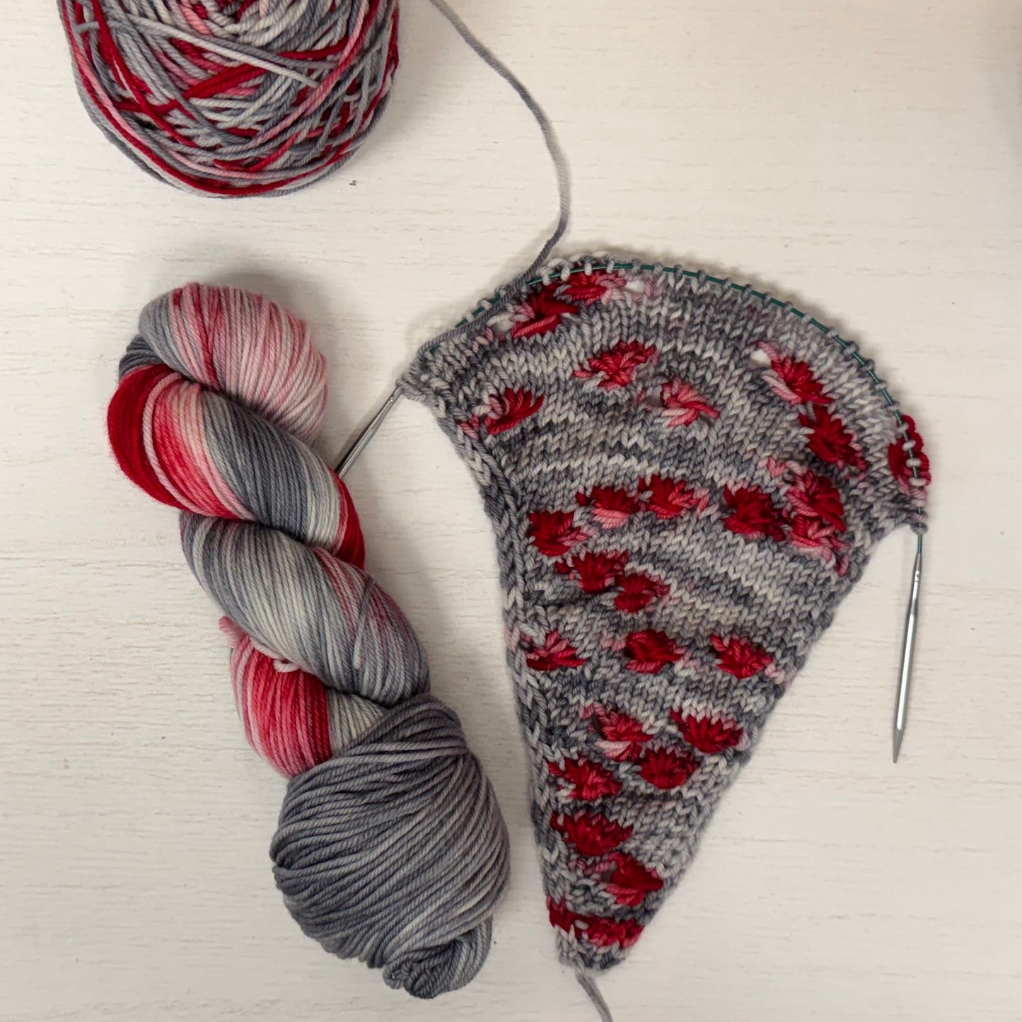 Mountaintop Yarn Ladybug - Assigned Pooling Yarn