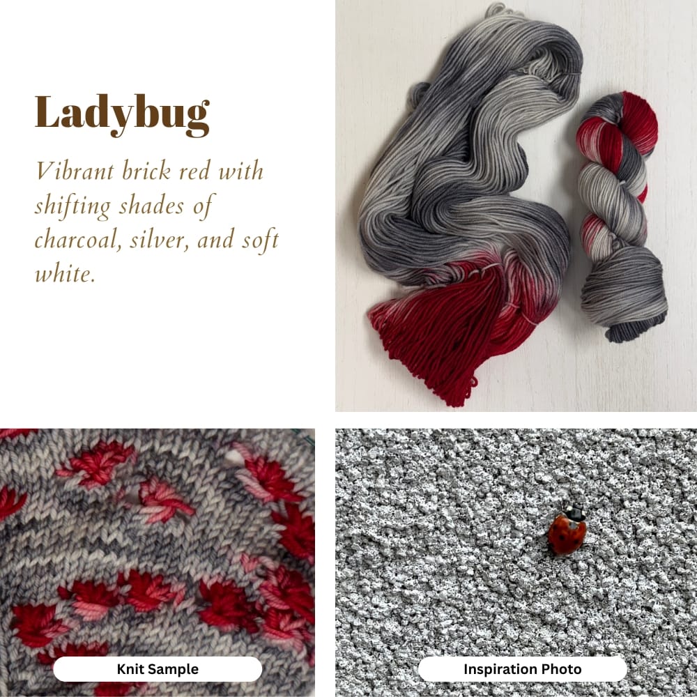 Mountaintop Yarn Ladybug - Assigned Pooling Yarn