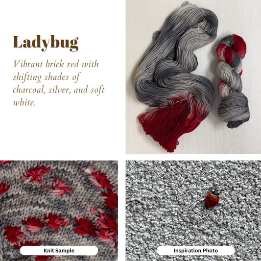 Mountaintop Yarn Ladybug - Assigned Pooling Yarn