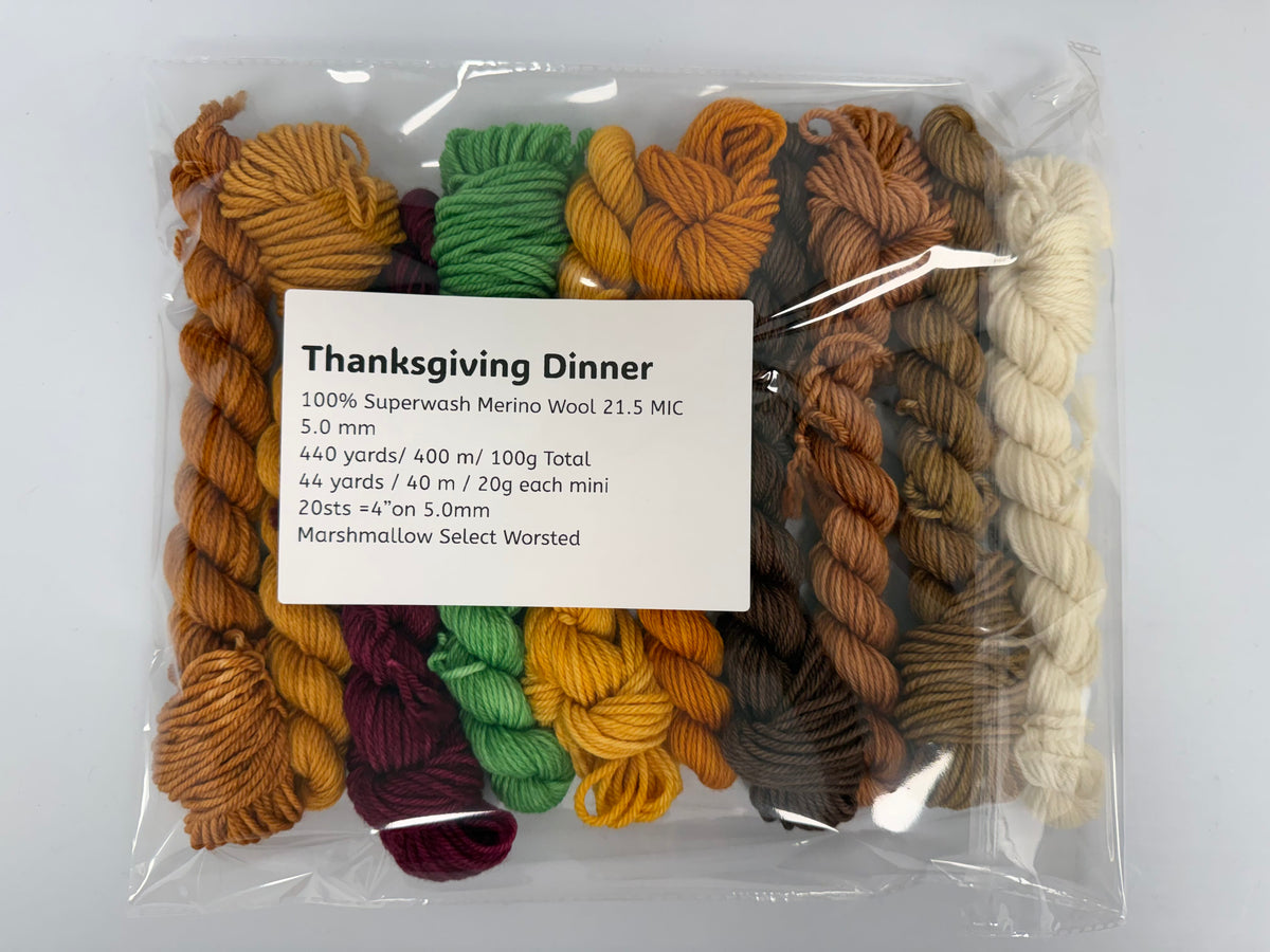 Mountaintop Yarn Minis Thanksgiving Dinner - 10 Worsted Mini Skein Set Yarn