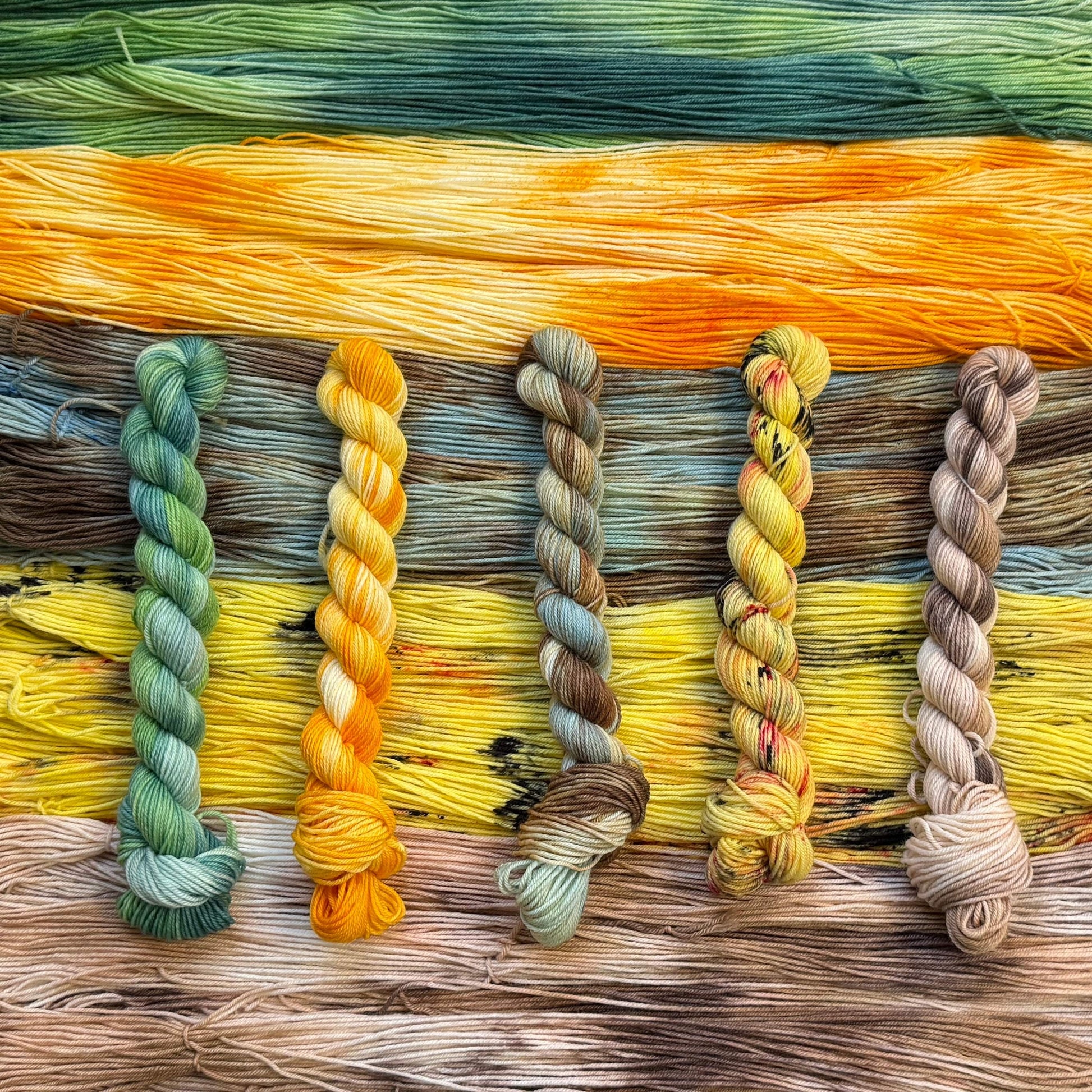 Mountaintop Yarn Pocket Monster Sock Mini Set Yarn