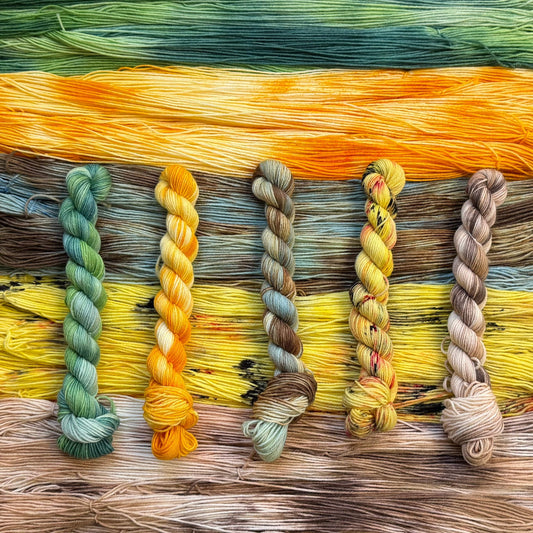 Mountaintop Yarn Pocket Monster Sock Mini Set Yarn