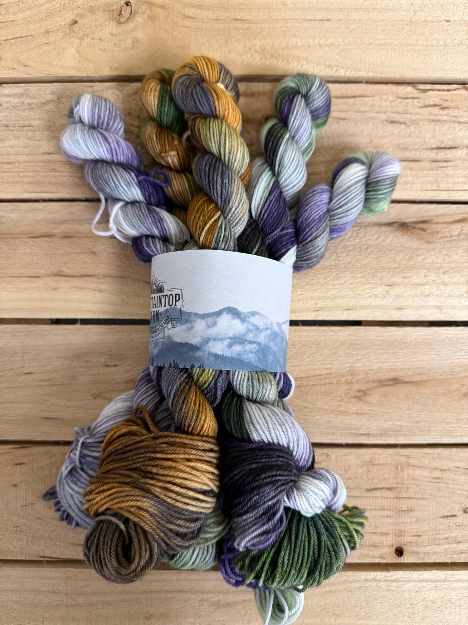 Mountaintop Yarn Poe's Garden Limited Edition Sock Weight Mini Skein Sets Yarn