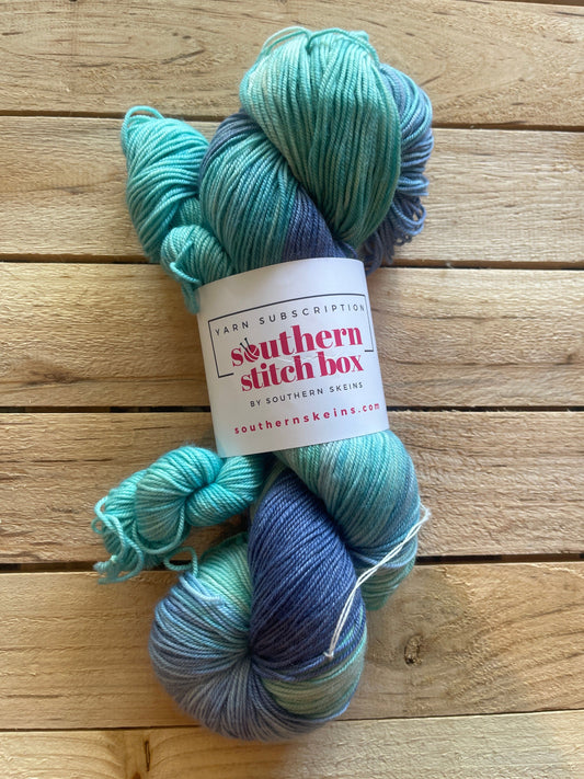 Mountaintop Yarn Southern Stitch Box - No Rush - June 2024 Stash Yarn