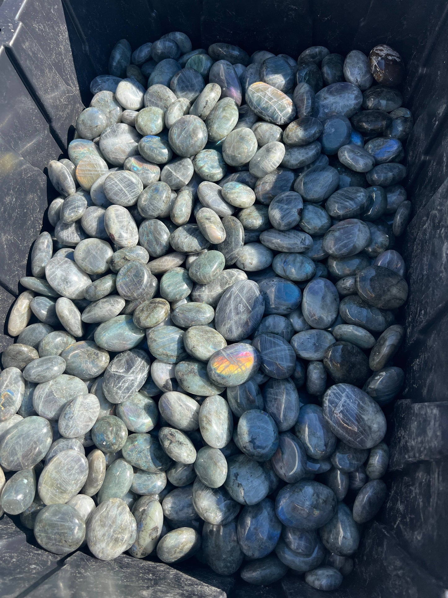 Sapphire & Sage Labradorite Crystal Palm Stone Crystals