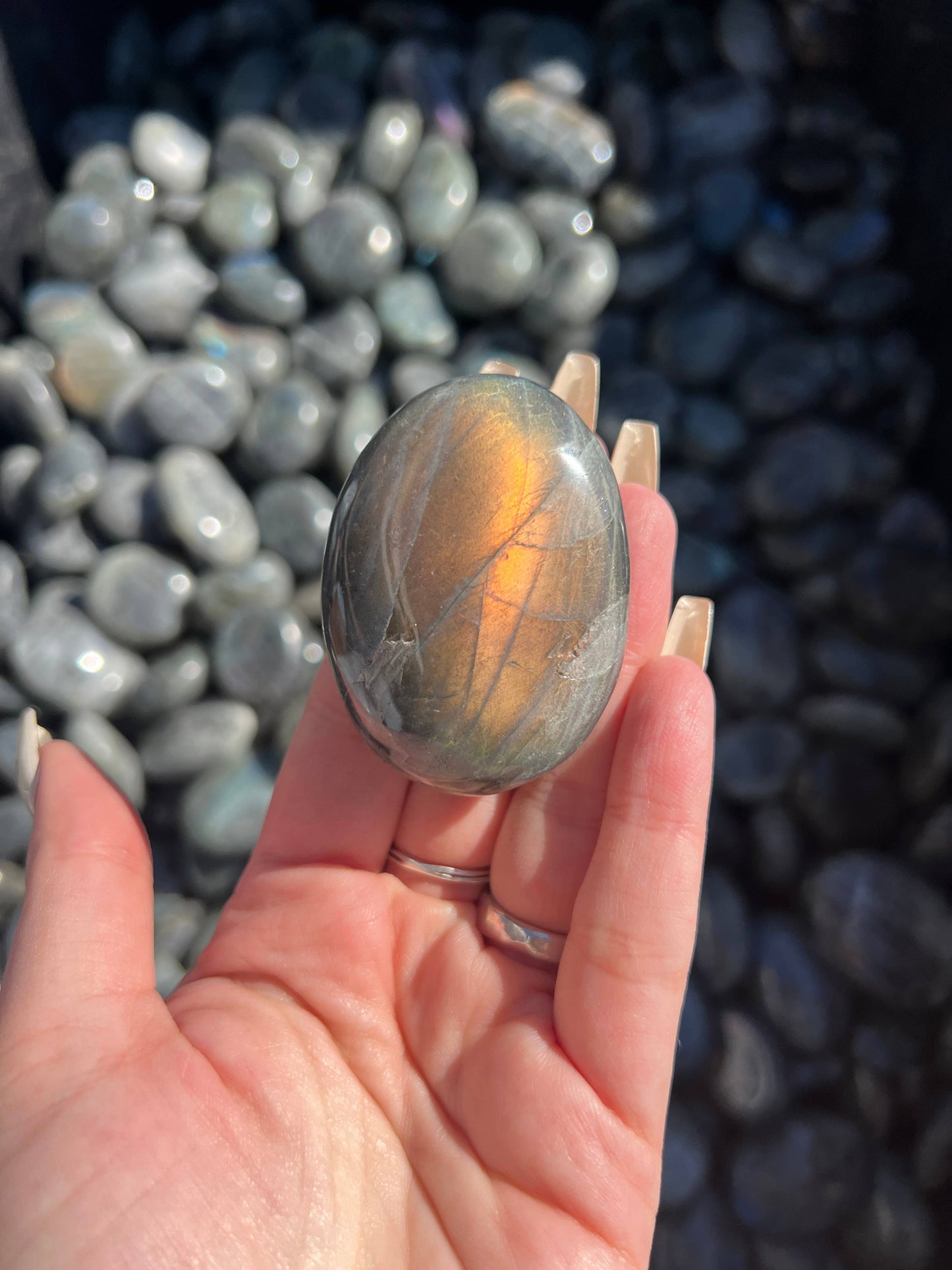 Sapphire & Sage Labradorite Crystal Palm Stone Crystals