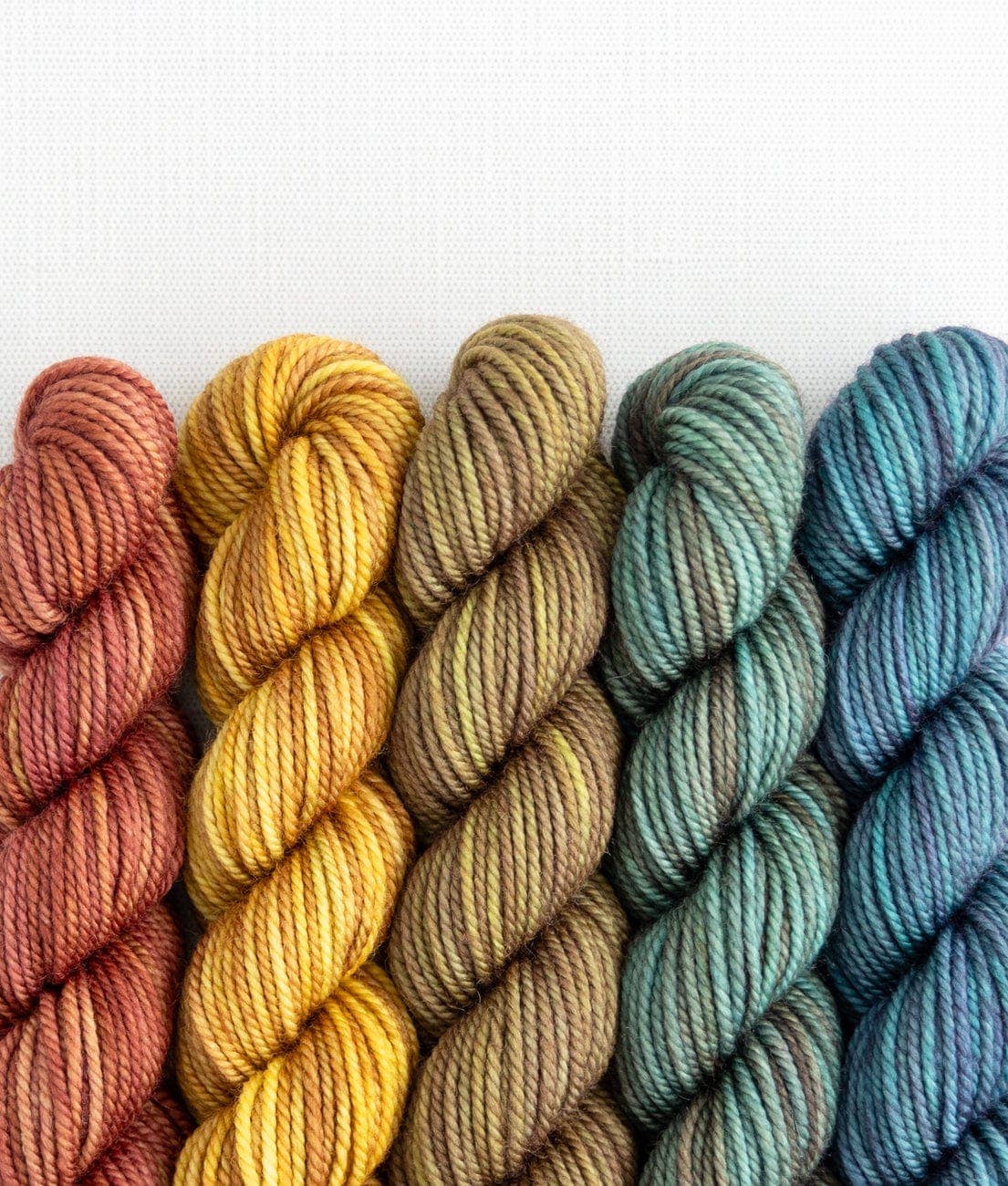 SweetGeorgia Yarns Inc. Blazing Trails Party of Five / Superwash DK / Mini-Skein Set Yarn