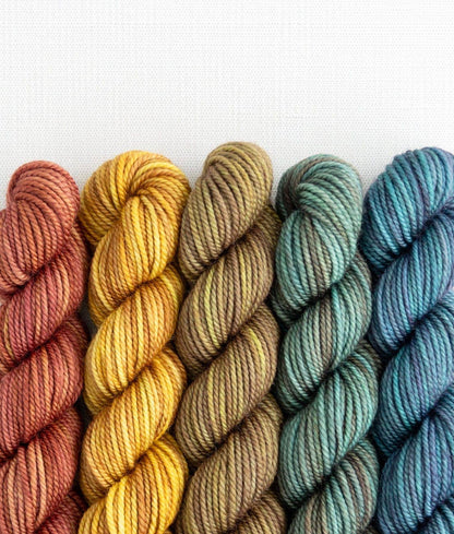 SweetGeorgia Yarns Inc. Blazing Trails Party of Five / Superwash DK / Mini-Skein Set Yarn