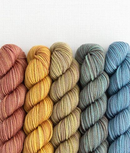 SweetGeorgia Yarns Inc. Blazing Trails Party of Five / Tough Love / Mini-Skein Set Yarn