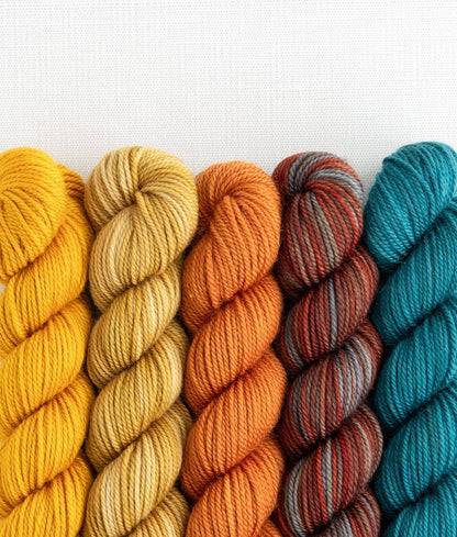 SweetGeorgia Yarns Inc. Farm to Table Party of Five / Tough Love / Mini-Skein Set Yarn