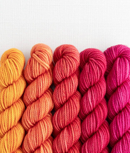 SweetGeorgia Yarns Inc. Fruit Salad Party of Five / Superwash DK / Mini-Skein Set Yarn