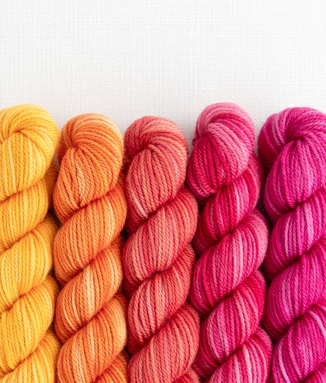 SweetGeorgia Yarns Inc. Fruit Salad Party of Five / Tough Love / Mini-Skein Set Yarn