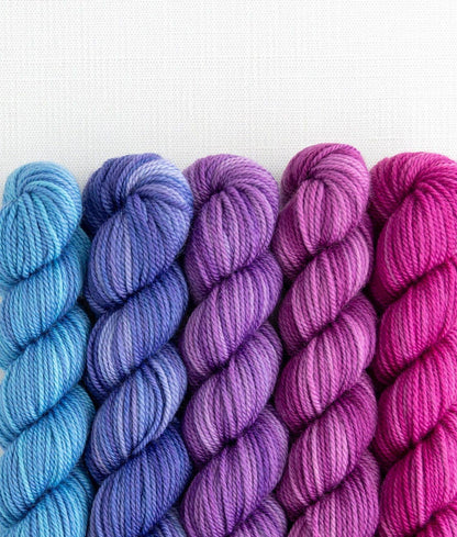 SweetGeorgia Yarns Inc. Garden Party Party of Five / Tough Love / Mini-Skein Set Yarn