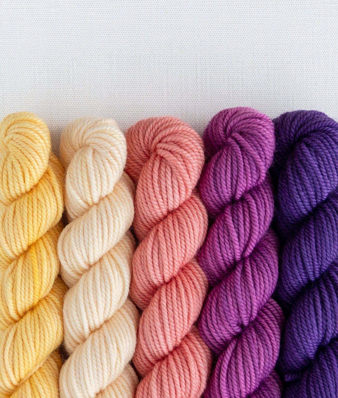 SweetGeorgia Yarns Inc. Party of Five / Superwash DK / Mini-Skein Set Yarn