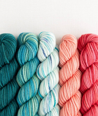 SweetGeorgia Yarns Inc. Party of Five / Superwash DK / Mini-Skein Set Yarn