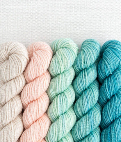 SweetGeorgia Yarns Inc. Party of Five / Tough Love / Mini-Skein Set Yarn