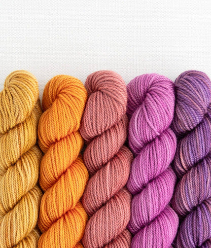 SweetGeorgia Yarns Inc. Party of Five / Tough Love / Mini-Skein Set Yarn