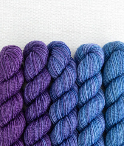 SweetGeorgia Yarns Inc. Party of Five / Tough Love / Mini-Skein Set Yarn
