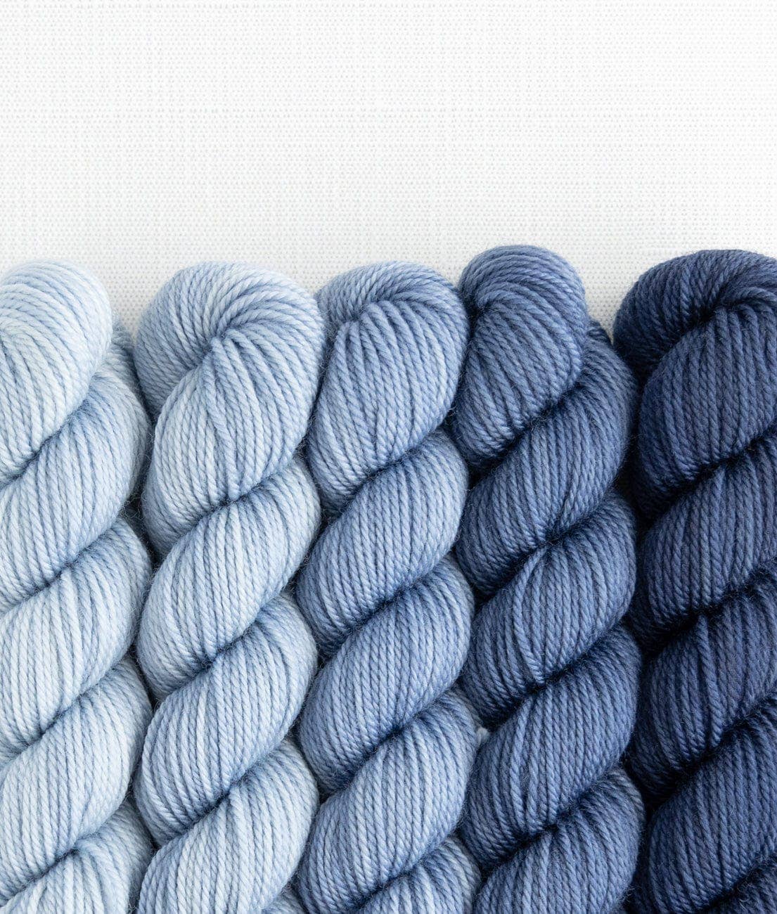 SweetGeorgia Yarns Inc. Party of Five / Tough Love / Mini-Skein Set Yarn