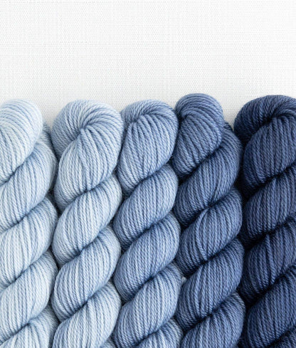 SweetGeorgia Yarns Inc. Party of Five / Tough Love / Mini-Skein Set Yarn