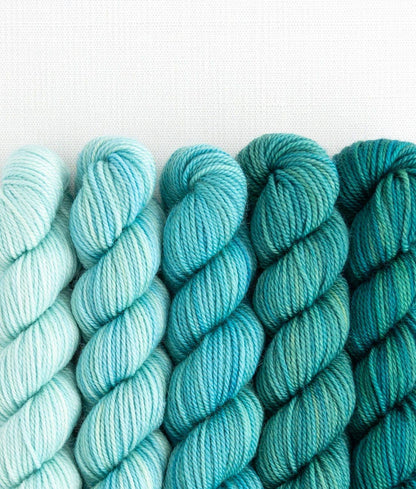 SweetGeorgia Yarns Inc. Party of Five / Tough Love / Mini-Skein Set Yarn